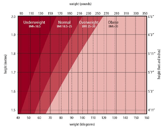 Bmi Calculator Chart